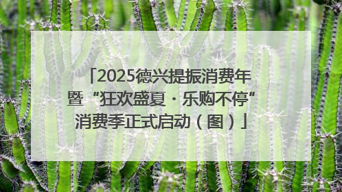 2025德兴提振消费年暨“狂欢盛夏・乐购不停”消费季正式启动（图）