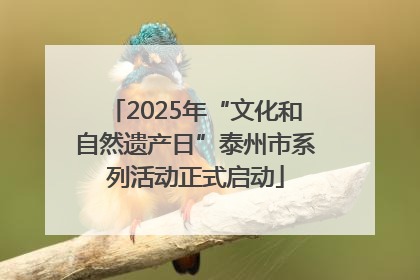 2025年“文化和自然遗产日”泰州市系列活动正式启动