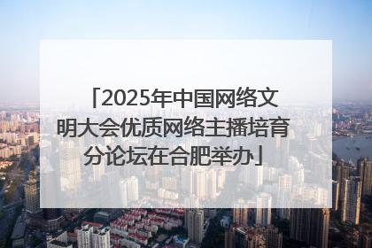 2025年中国网络文明大会优质网络主播培育分论坛在合肥举办