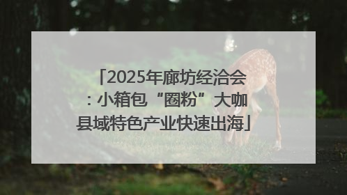 2025年廊坊经洽会：小箱包“圈粉”大咖 县域特色产业快速出海