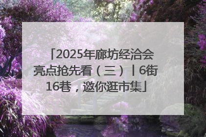 2025年廊坊经洽会亮点抢先看（三）丨6街16巷，邀你逛市集