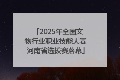 2025年全国文物行业职业技能大赛河南省选拔赛落幕