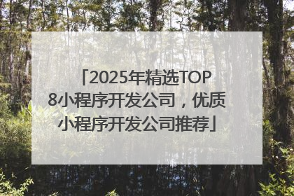 2025年精选TOP8小程序开发公司，优质小程序开发公司推荐