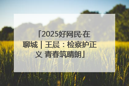 2025好网民·在聊城｜王晨：检察护正义 青春筑晴朗