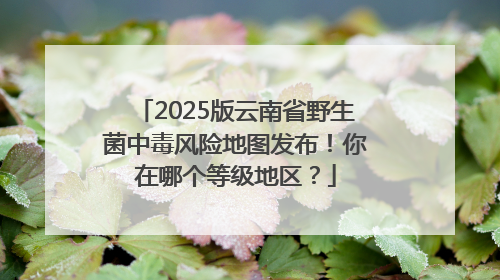 2025版云南省野生菌中毒风险地图发布！你在哪个等级地区？