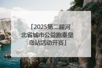 2025第二届河北省城市公益跑秦皇岛站活动开赛