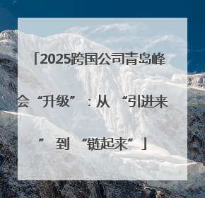 2025跨国公司青岛峰会“升级”：从 “引进来” 到 “链起来”