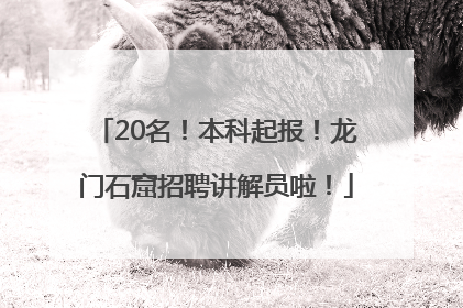 20名！本科起报！龙门石窟招聘讲解员啦！