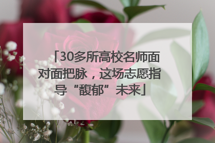 30多所高校名师面对面把脉，这场志愿指导“馥郁”未来