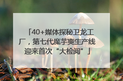 40+媒体探秘卫龙工厂，第七代魔芋爽生产线迎来首次“大检阅”