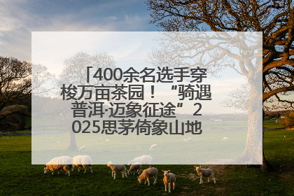 400余名选手穿梭万亩茶园！“骑遇普洱·迈象征途”2025思茅倚象山地自行车赛圆满举行