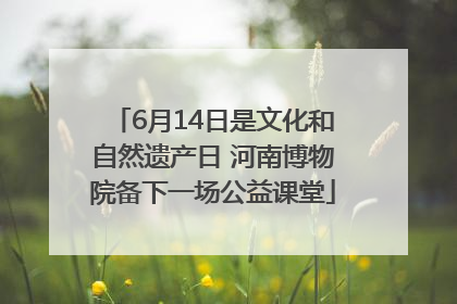 6月14日是文化和自然遗产日 河南博物院备下一场公益课堂