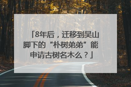 8年后，迁移到吴山脚下的“朴树弟弟”能申请古树名木么？