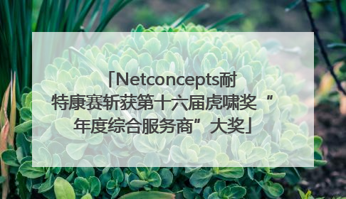 Netconcepts耐特康赛斩获第十六届虎啸奖“年度综合服务商”大奖